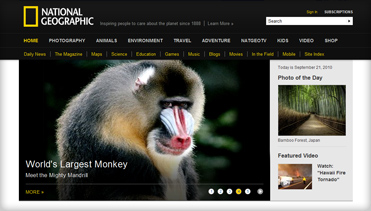 虚拟号码手机号发送平台